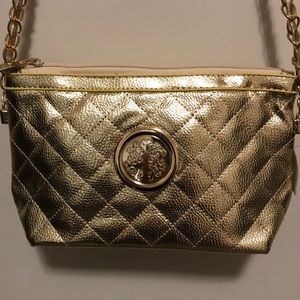 Woman’s evening bag